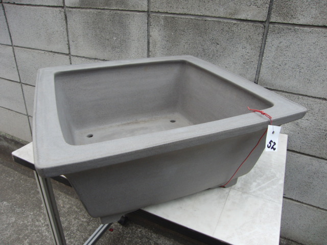 s1078503005.1