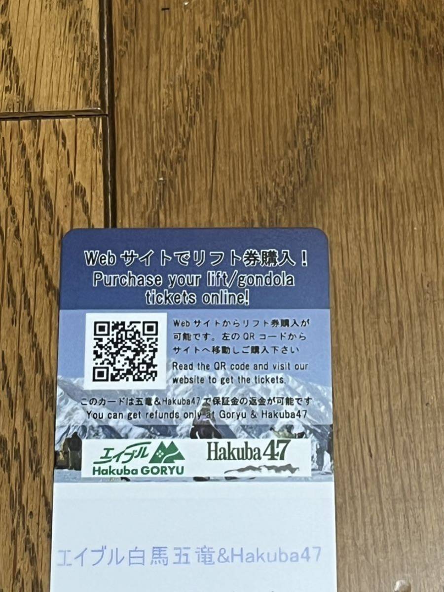白馬五竜 47 共通リフト1日券 1枚 白馬五竜&Hakuba47 1日券 白馬五竜 47 共通リフト1日券 1枚 白馬五竜&Hakuba47 1日券