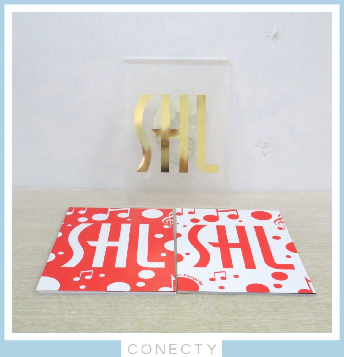 スーパーハンサムライブ2011公式パンフレット2冊組 生写真付き！佐藤健