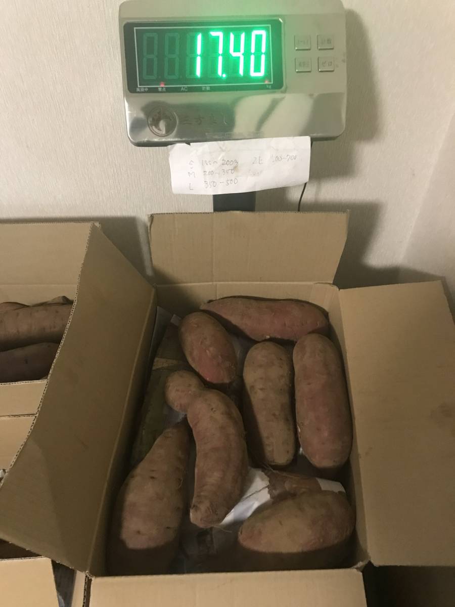 送料込 17Kg 紅はるか 2L～4Lサイズ おまけ付 有機肥料 減農薬栽培 さつまいも 薩摩芋 甘藷 A171 2L-4L 
