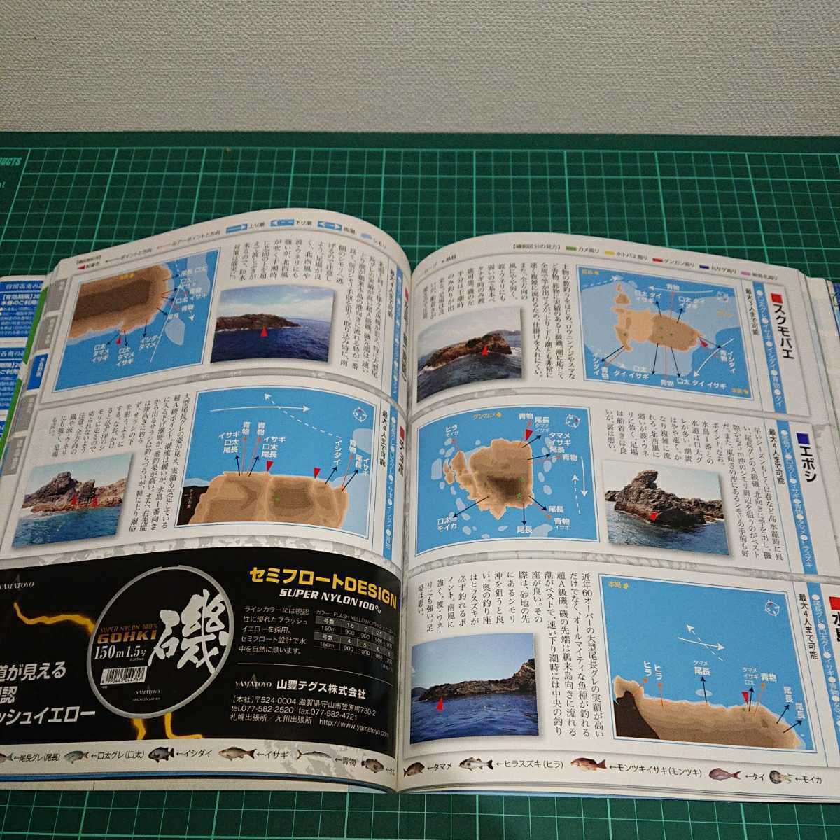 磯辞典シリーズvol.2 四国西南の磯釣り 鵜来島 うぐるしま』鵜