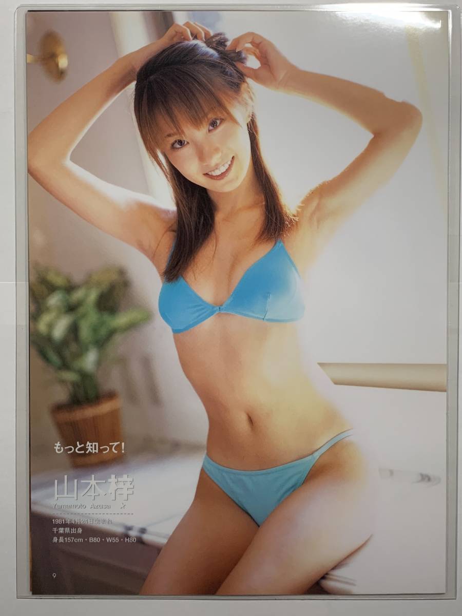 【大量】グラビアアイドル・山本梓さん 雑誌切り抜き 厚手ラミネート加工】山本梓 水着 A4変サイズ 雑誌切り抜き 4ページ