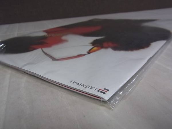 中森明菜 THE LAST DESTINATION パンフレット 中森明菜 2006年ツアーパンフ THE LAST DESTINATION/I1032/8
