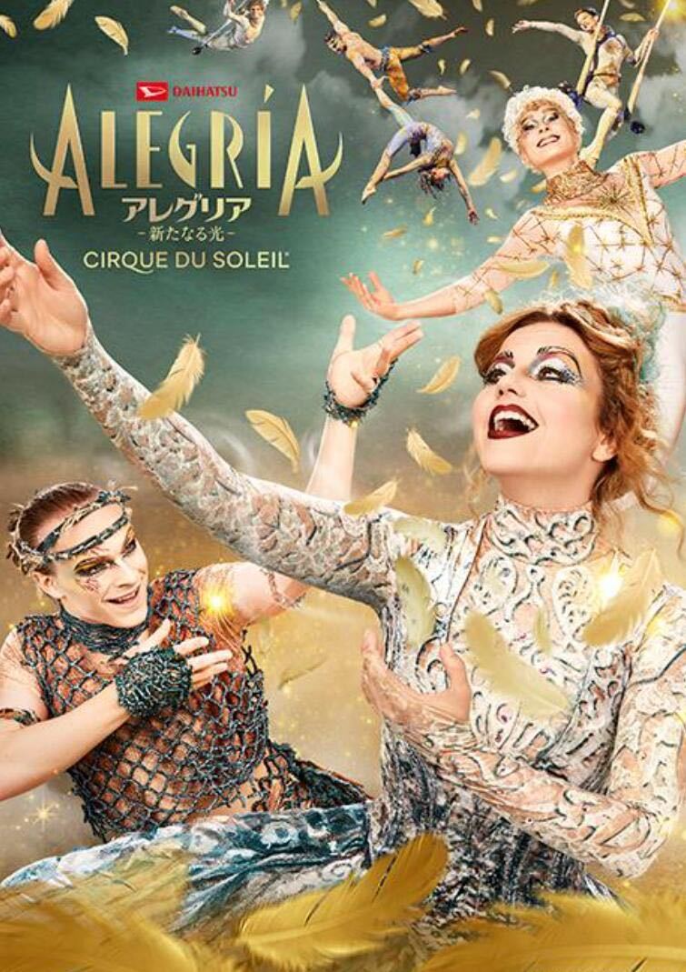 シルク・ドゥ・ソレイユ アニバーサリーコレクション 12DVD+未開封カード シルク・ドゥ・ソレイユ アニバーサリーコレクション 12DVD+未開封