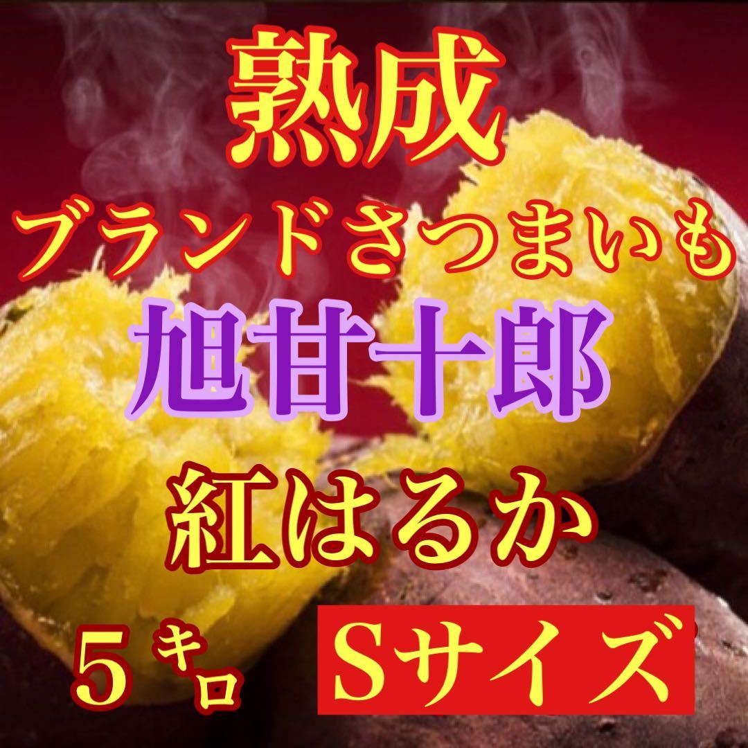 芋ソムリエが選んだ熟成ブランド芋 旭甘十郎約　紅はるか　特Sサイズ箱込み5キロ弱　送料無料