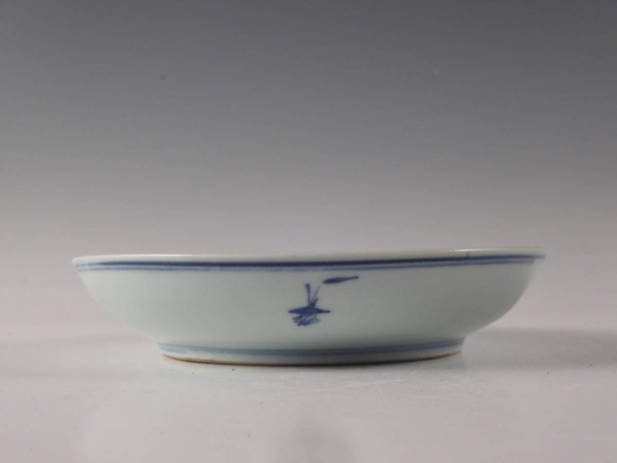 ○栄○中国 清代 古染付 雲龍文 飾皿 20.3cm 古陶磁 47s340(清)｜売買
