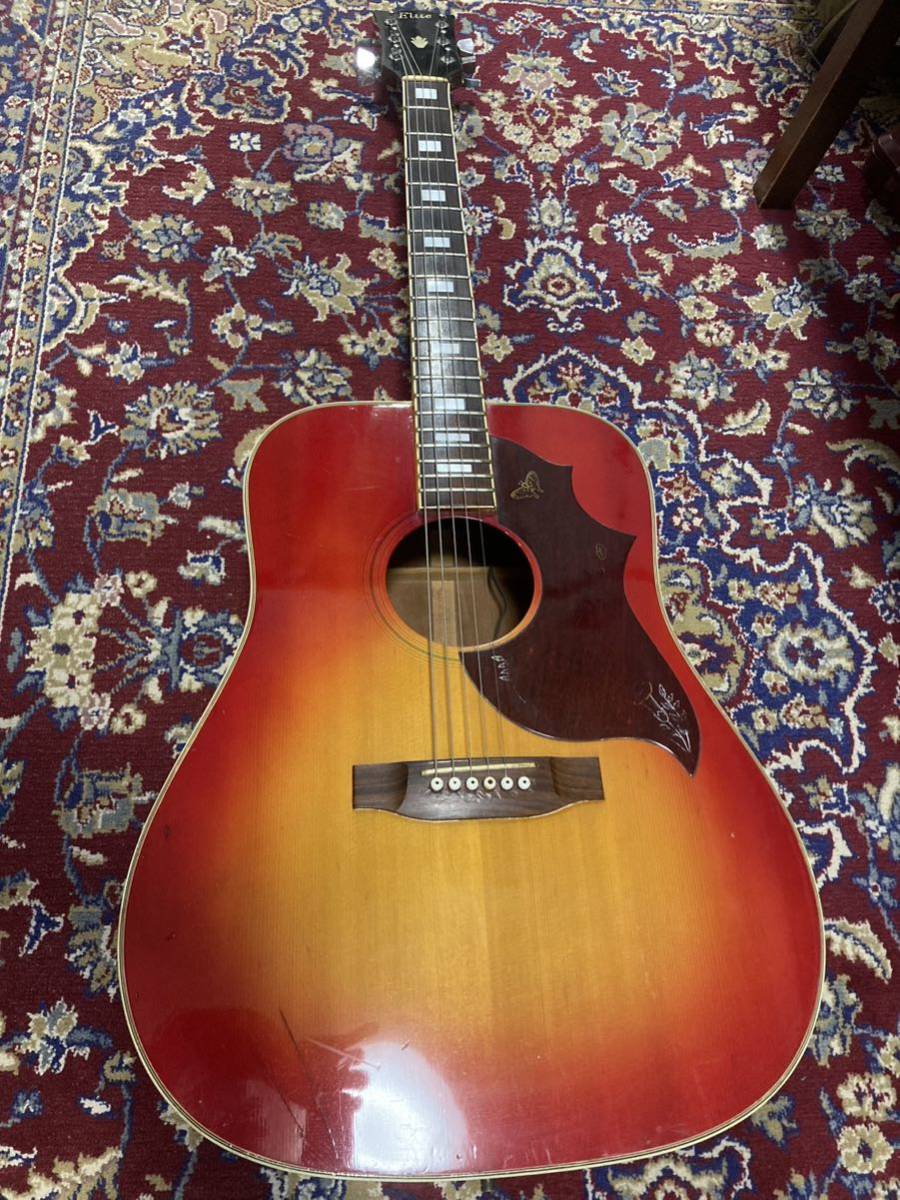 Elite アコースティックギター 本体 Elite by Takamine アコースティックギター ビンテージ ハミングバード