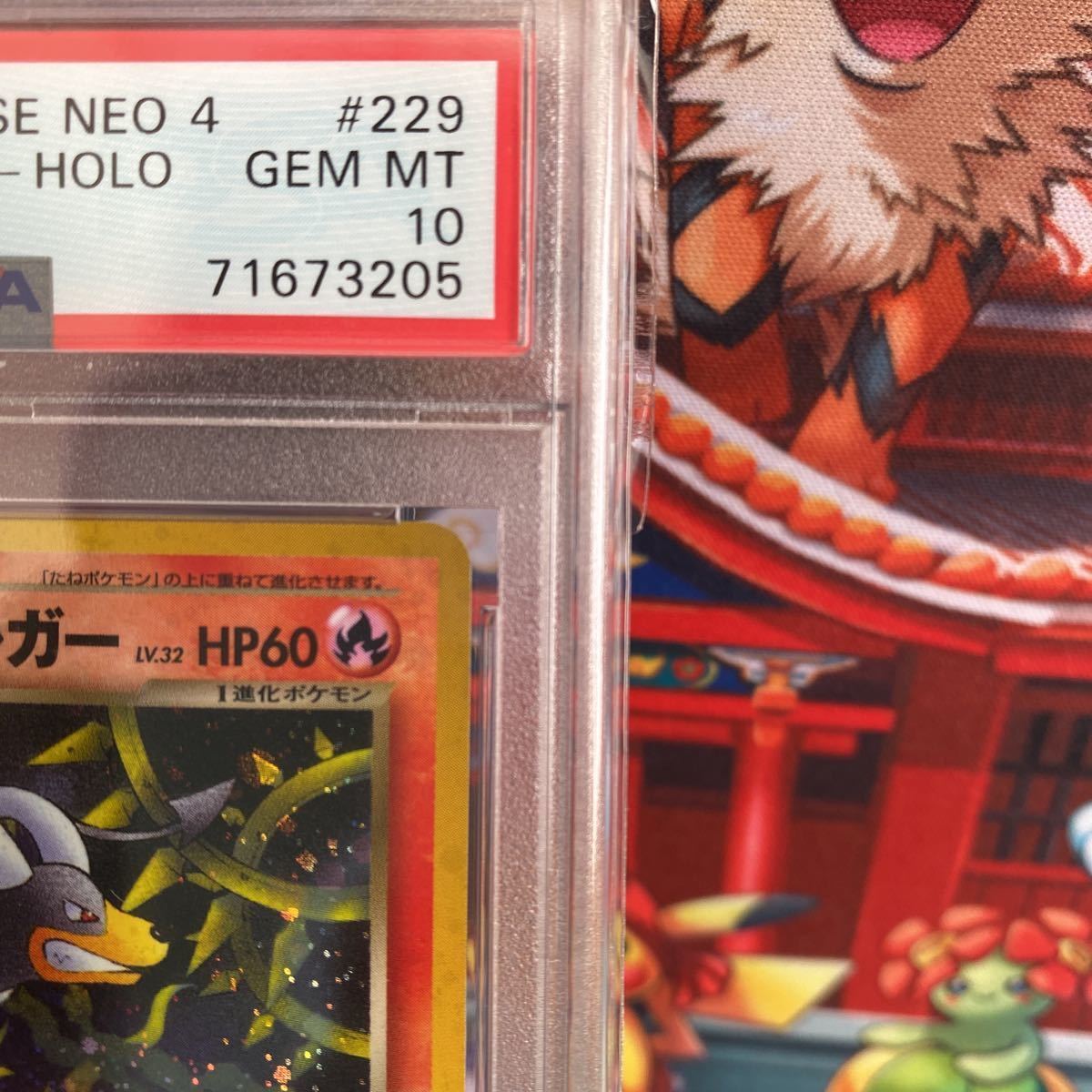 世界に221枚/ PSA10】わるいヘルガー ホロ 旧裏 229 拡張パック 第4弾 