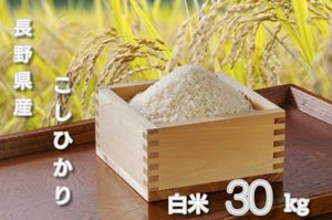 棚田米 精米 令和7年産 コシヒカリ白米30キロ（10kg×3袋）精米