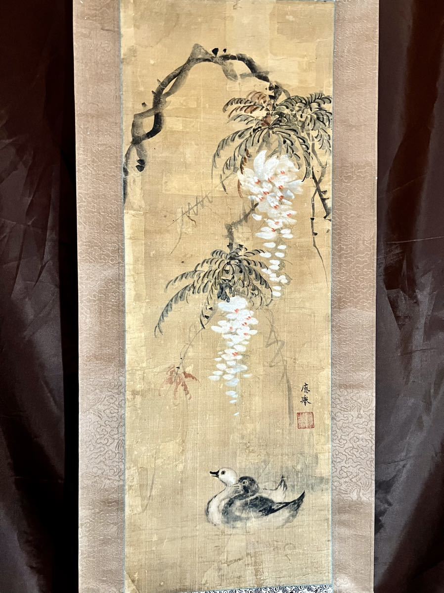 模写] [仏陀] 円山応挙「白藤に水鳥」絹本 肉筆 合箱 春景 花鳥図 鳥獣