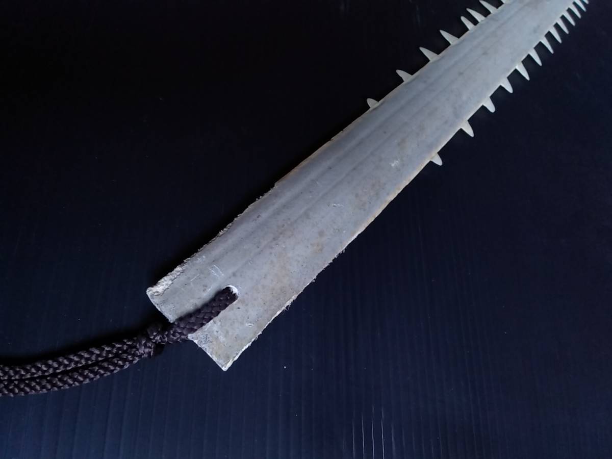 ノコギリエイ　吻　歯　剥製 ノコギリエイ 吻 エイ はく製 剥製 のこぎり 歯 標本 サメ 鮫 ギザギザ