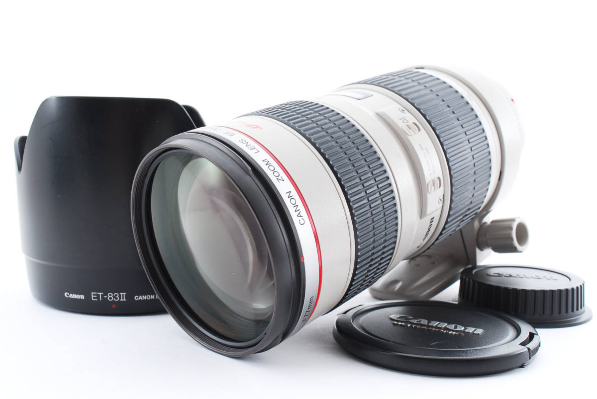 Canon キヤノン EF-M 55-200mm F4.5-6.3 IS STM 望遠レンズ #6 ☆ジャンク