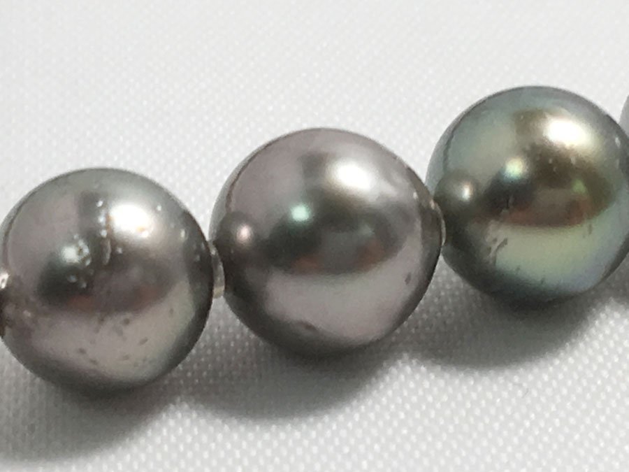 黒蝶真珠 グレーパール ネックレス 約5mm～8mm ラウンド 黒蝶真珠