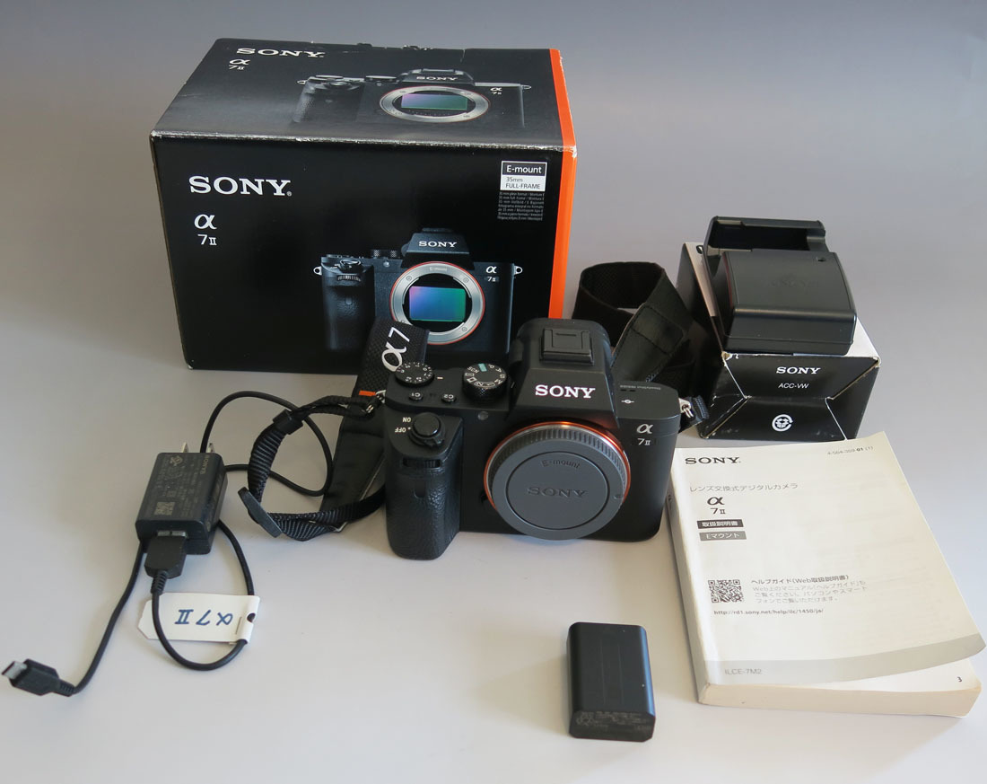 271 SONY ソニー α7 II ボディ ILCE-7M2 バッテリー 充電器付 可動のみ 