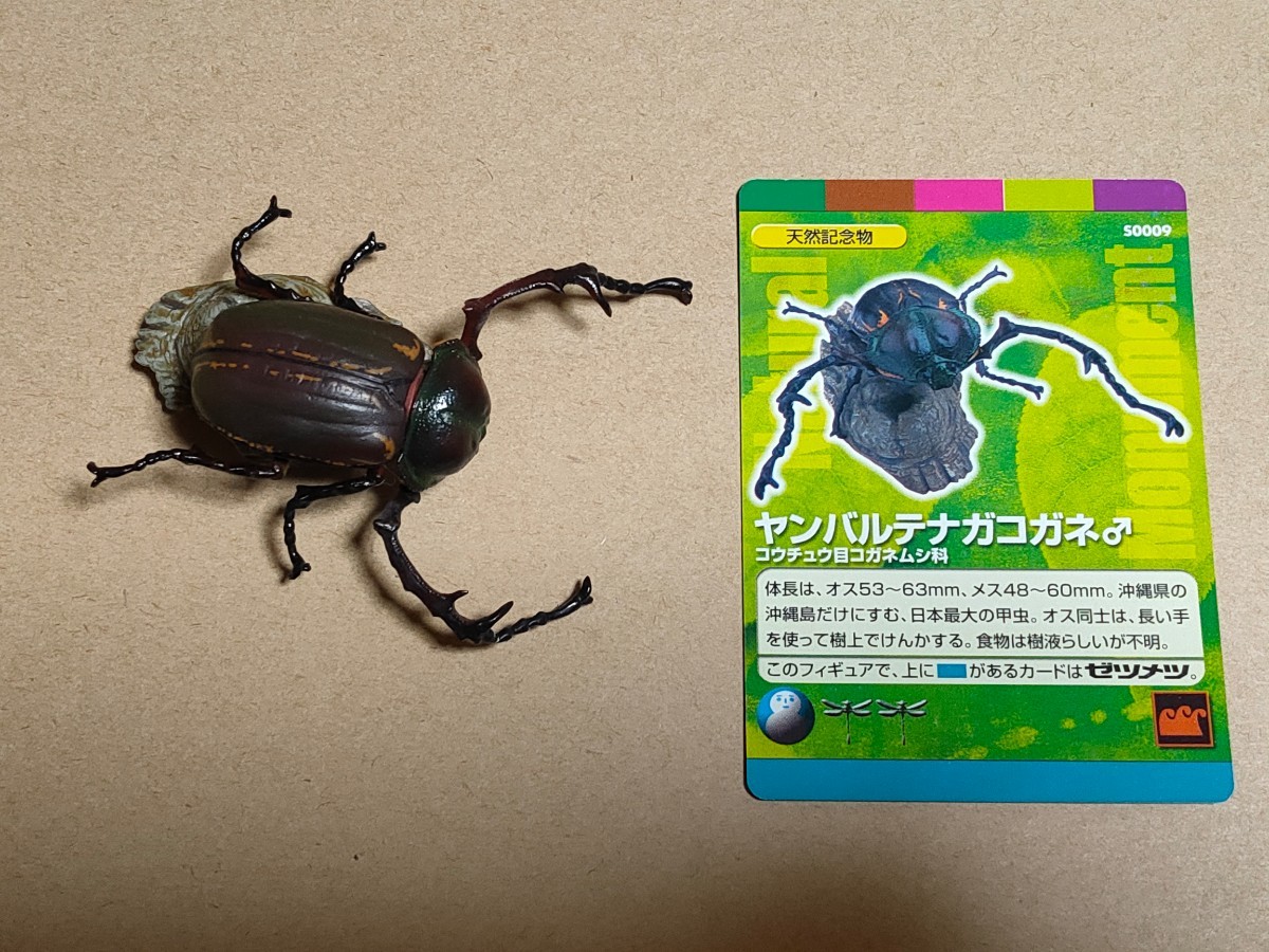 週刊 日本の天然記念物 フィギュアセット(20体)＜海洋堂＞ 海洋堂 週刊日本