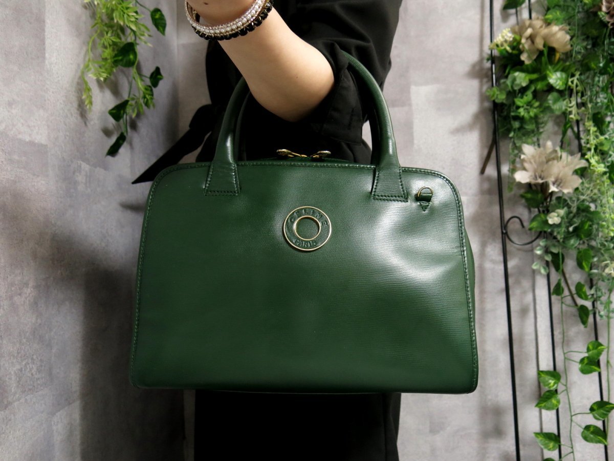 ○超美品○CELINE セリーヌ○サークルロゴ○リザード 型押し レザー 本 