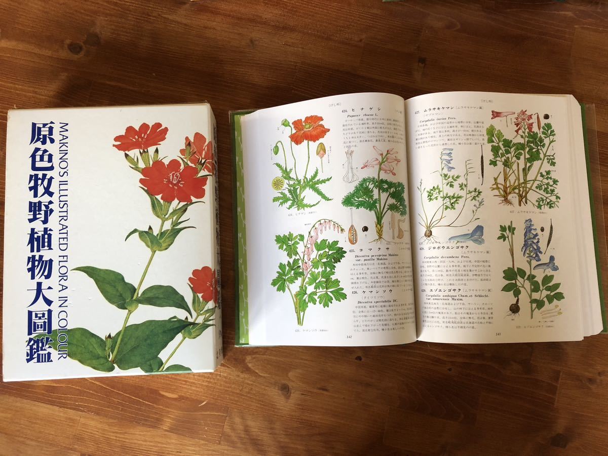 原色牧野植物大圖鑑 MAKINO'S ILLUSTRATED FLORA 本