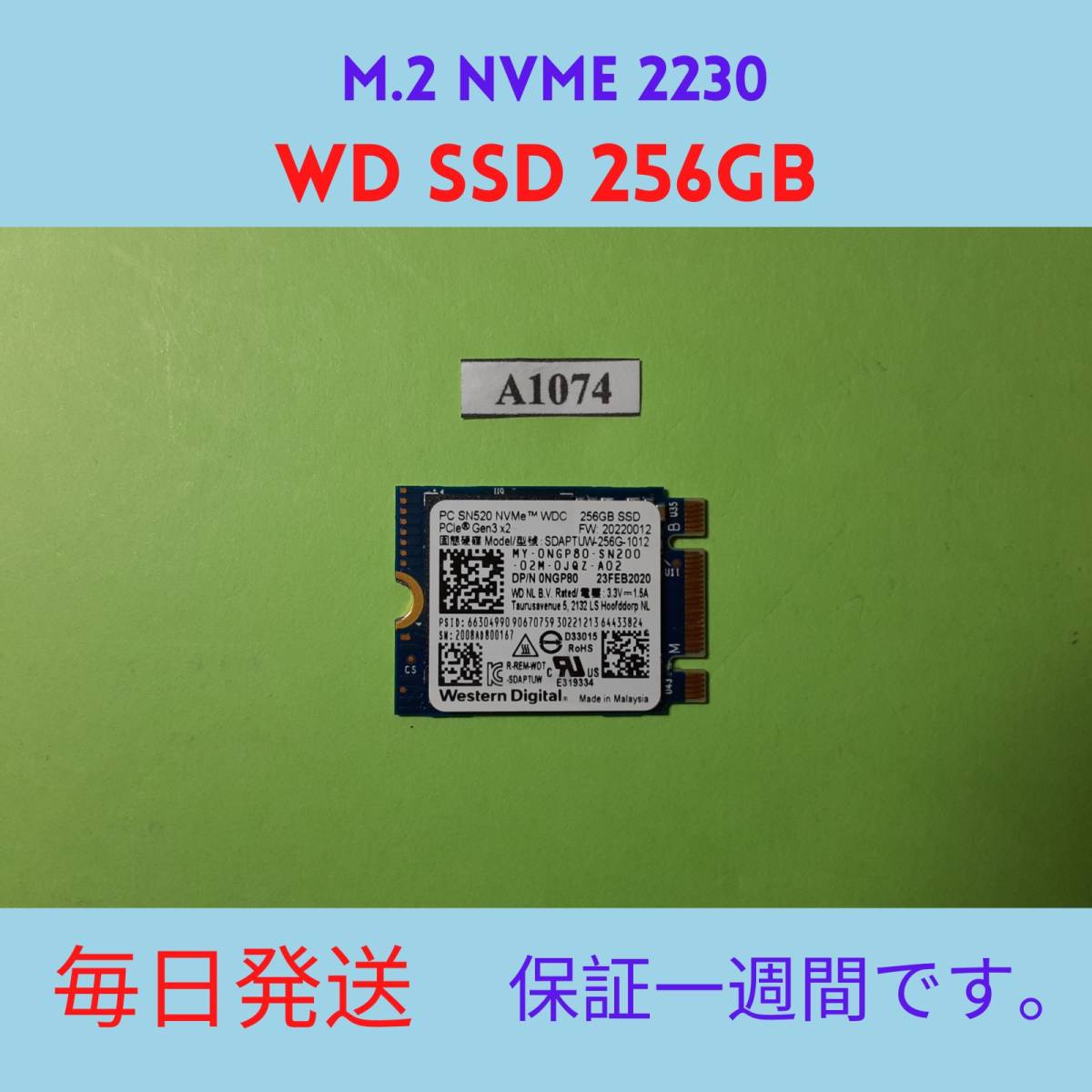 Western Digital M.2 NVMe 2230 SSD 256GB PC SN520 WDC SDAPTUW-256G 
