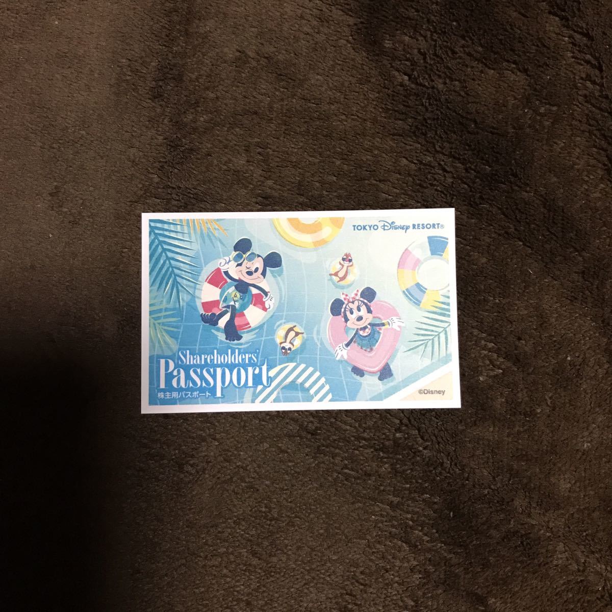 5月3日(水)東京ディズニーランド パスポート　1枚