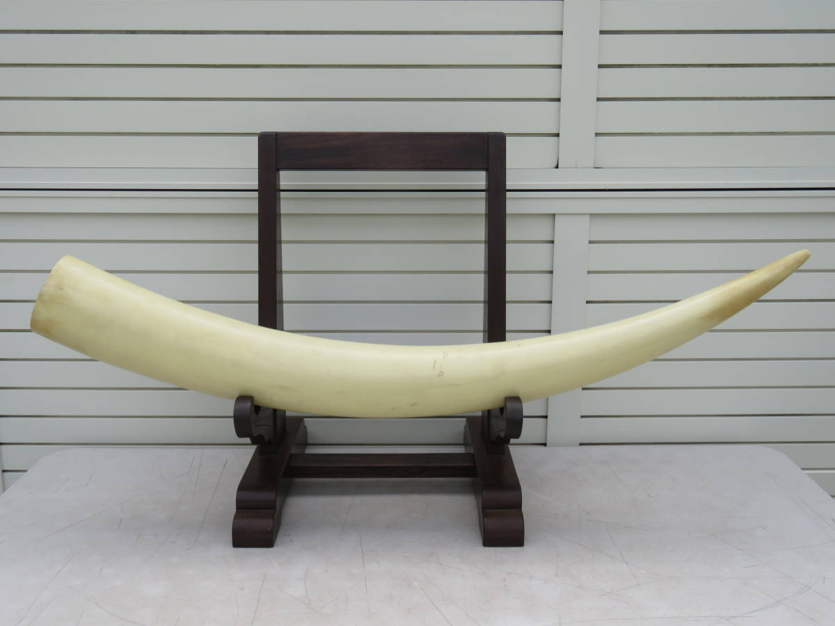 セール，最新作 希少品□遺品整理品□象牙風□一本物□