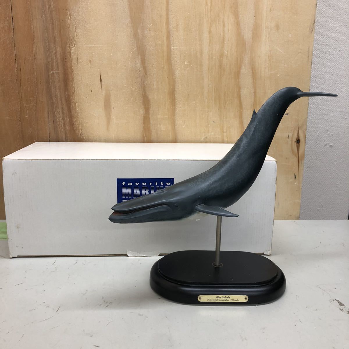 favorite MARINE LIFE シロナガスクジラ Blue Whale 1/80スケール スタチュー フィギュア ブルーホエール