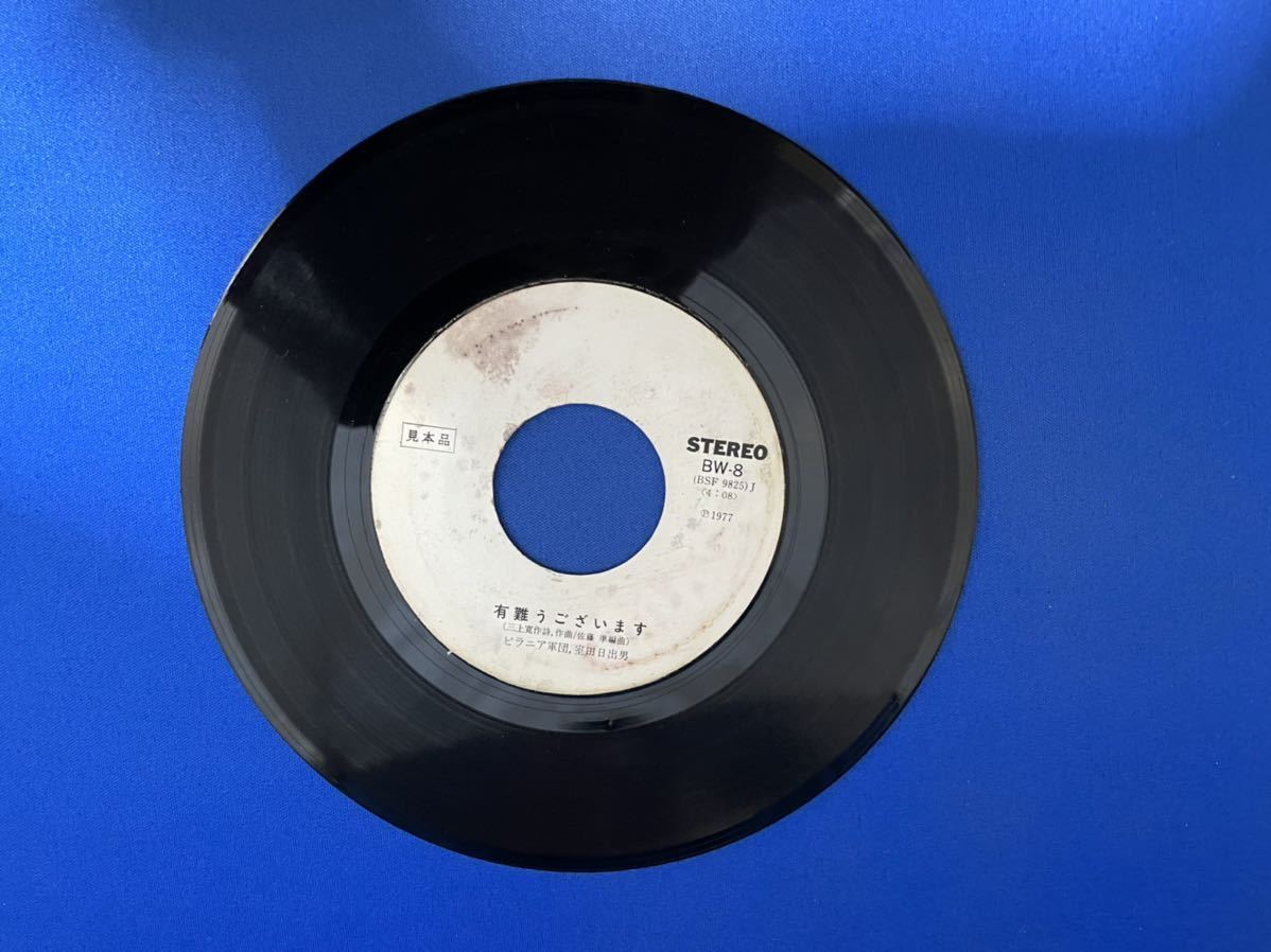 激レア！ピラニア軍団 / ソレカラドシタイブシ 編曲:坂本龍一/渡瀬恒彦  