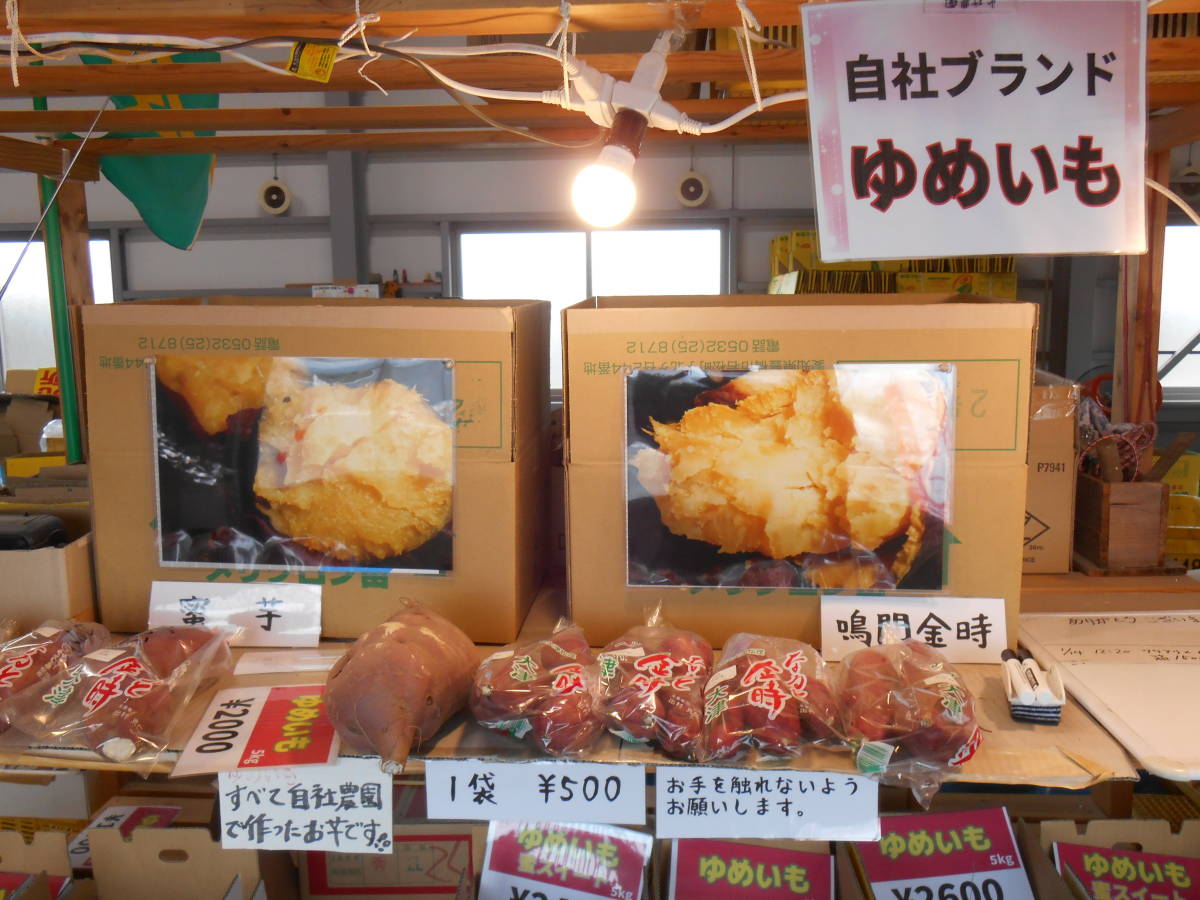 農園直送熟成ゆめいもなると金時鳴門金時土付き丸5キロ入り 掘った 