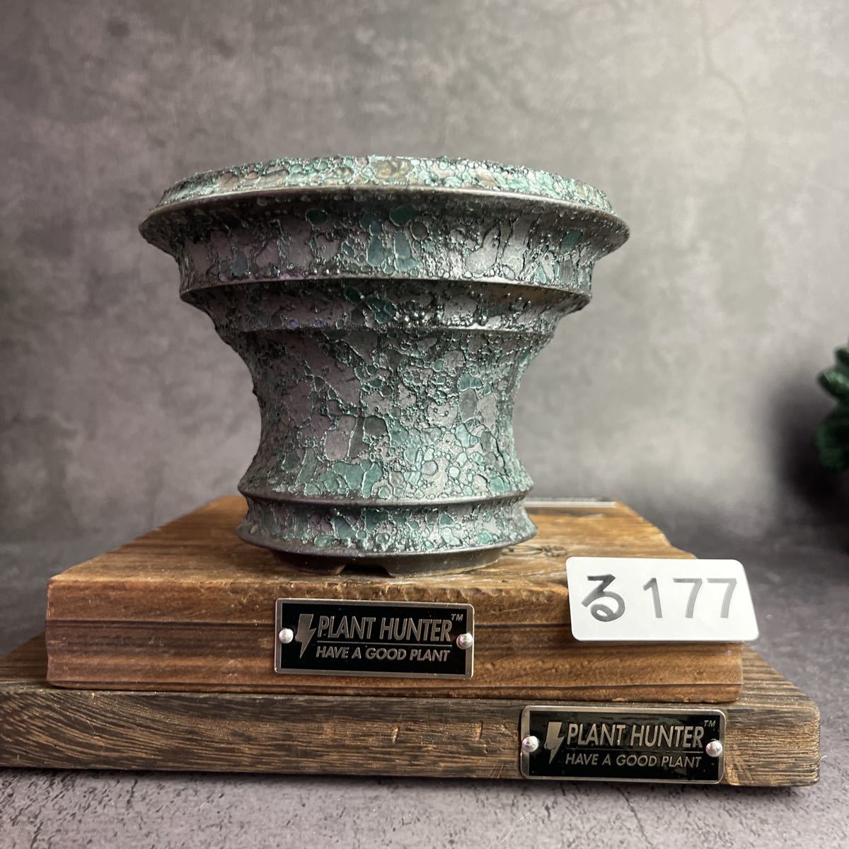 る177 Mサイズ 植木鉢 陶器 検（パキプス invisible ink raw life