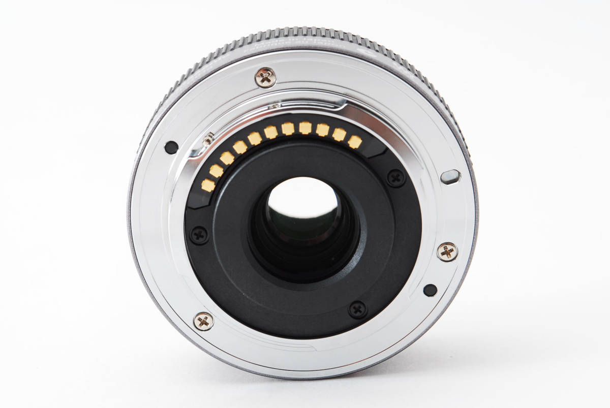 LUMIX Panasonic 外観特上級Panasonic DMC パナソニック VARIO #j11985 
