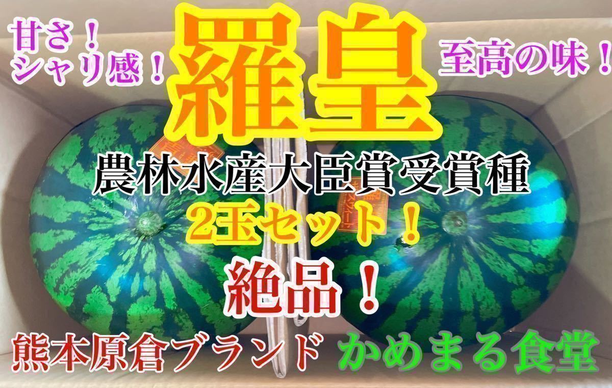 大玉スイカの最高傑作【羅皇】秀品 Lサイズ2玉セット（13〜15kg箱込）熊本植木産 かめまる食堂27