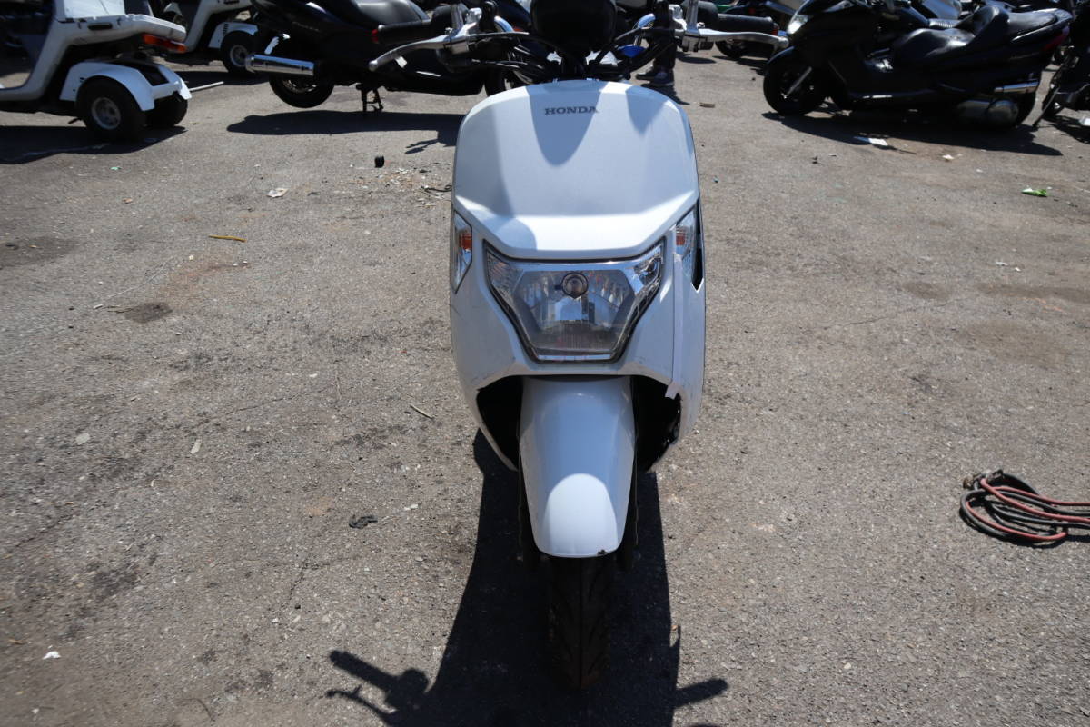 ホンダ HONDA ダンク(AF78-12067-) 50cc 実動車 バイク 原付【動画有