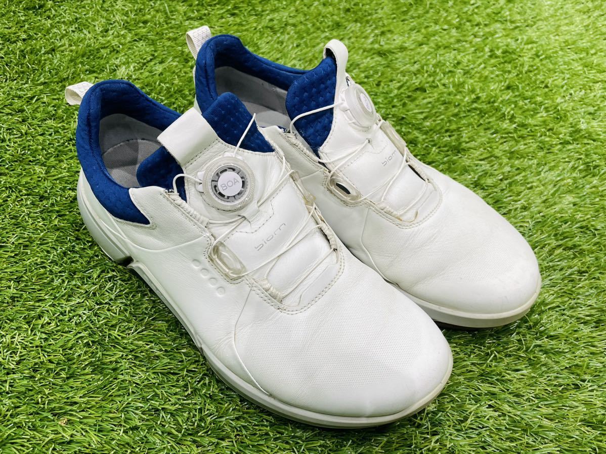 エコー バイオム ハイブリッド4 ボア BIOM HYBRID4 BOA