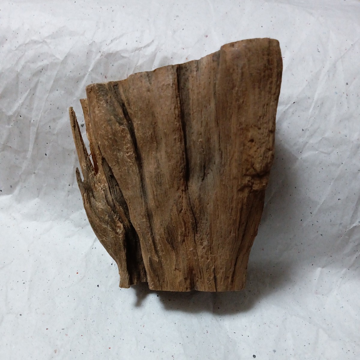 極上品 伽羅沈香香木105.02g(伽羅沈香白檀)中国古玩 唐物 古美術 香 