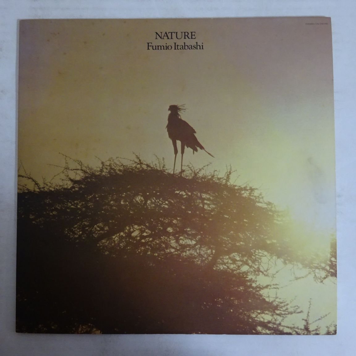 ⁄ Nature 板橋文夫 - Fumio Itabashi – ITABASHI⁄板橋文夫⁄世界が敬愛