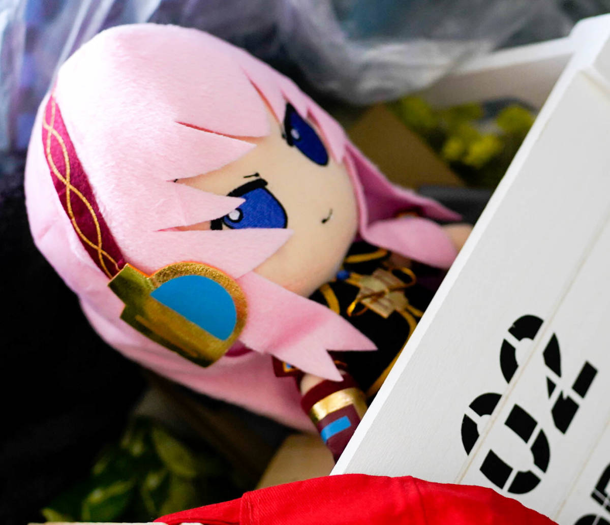 ぬいぐるみ　巡音 巡音ルカ 初音ミク クッション 抱き枕 ボカロ 　ボーカロイド　人形　３０ｃｍ　リボン袋付【現物撮影】 巡音ルカ ふわぷち ぬいぐるみ 鏡音 初音ミクCたこルカ初音ミクシリーズ グッズ]初音ミクシリーズ