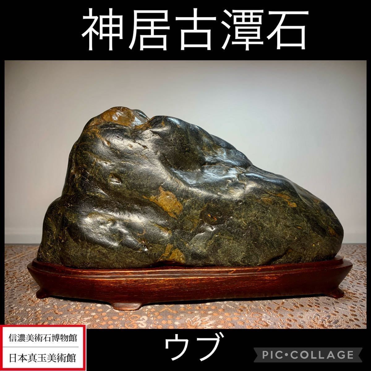 お盆スペシャル》水石盆栽 神居古潭石 ウブ 横26×高15.5×奥行8(cm 