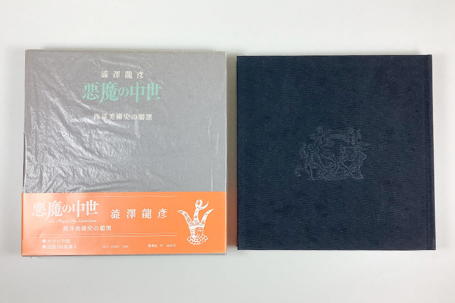 澁澤龍彦 悪魔の中世 西洋美術史の暗黒 本 澁澤龍彦 悪魔の中世 西洋美術史の暗黒 本