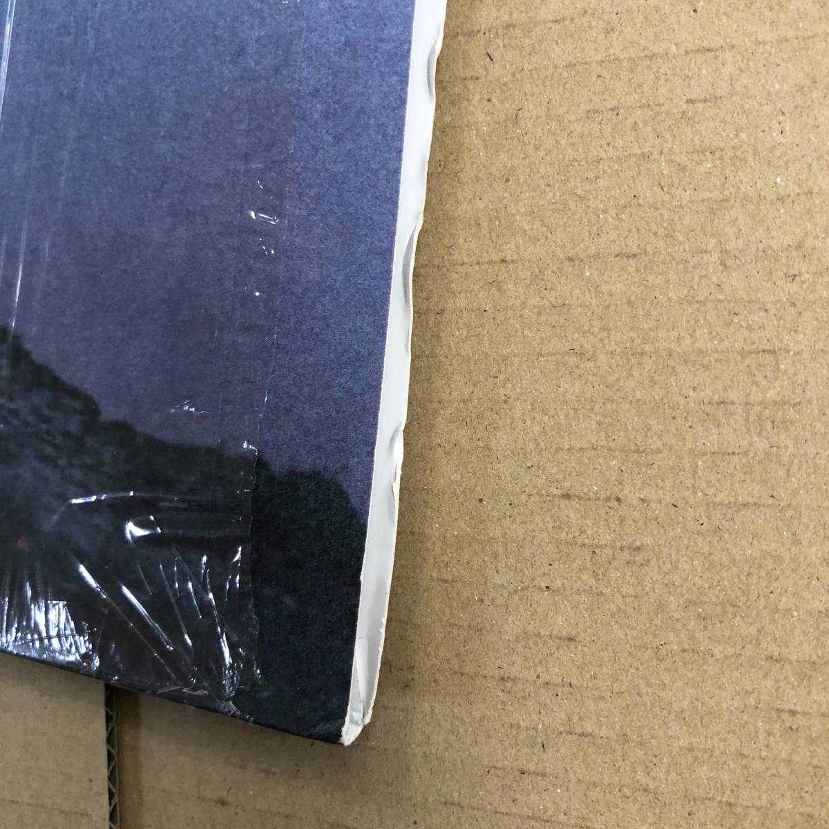 ■ Francis Harris - Leland【LP】SAT005LPX アメリカ盤 3枚組 アンビエント音響ハウス_4