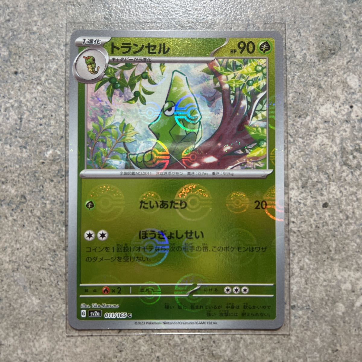 ポケモンカード 151 トランセル モンスターボール 011/165 C Pokemon 