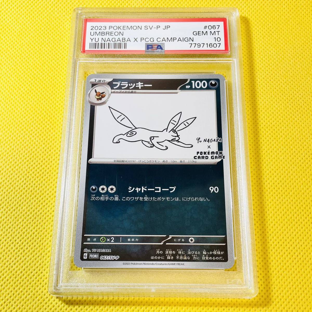 ☆PSA10☆GEM MINT【ブラッキー/プロモ/PROMO/長場雄】2023 Umbreon