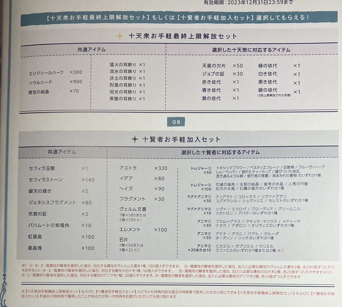 グラブルフェス2022-2023 パンフレット 十天衆最終上限解放セット 十  
