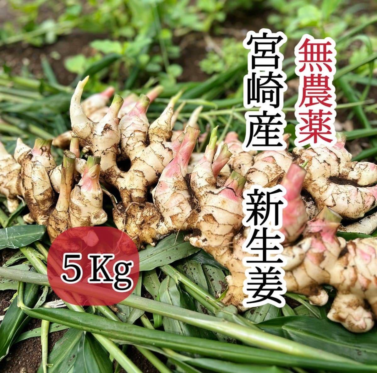 野菜⁄薬味 産直アウル 無農薬 0 箱パンパン 野菜 2kg 1kg 箱込み1