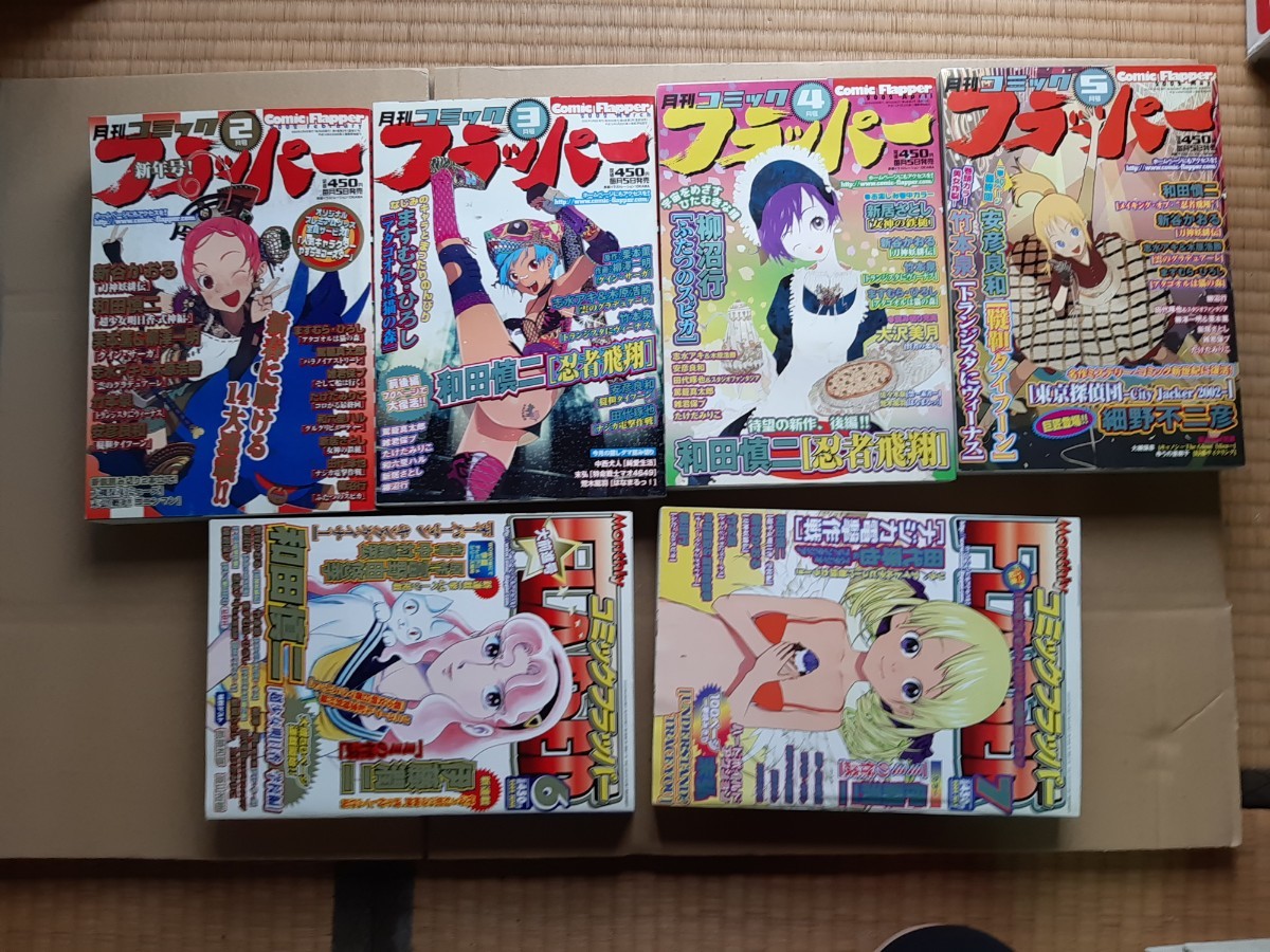 月刊コミックフラッパー　2002 11冊セット　和田慎二、新谷かおる、竹本泉、伊藤潤二