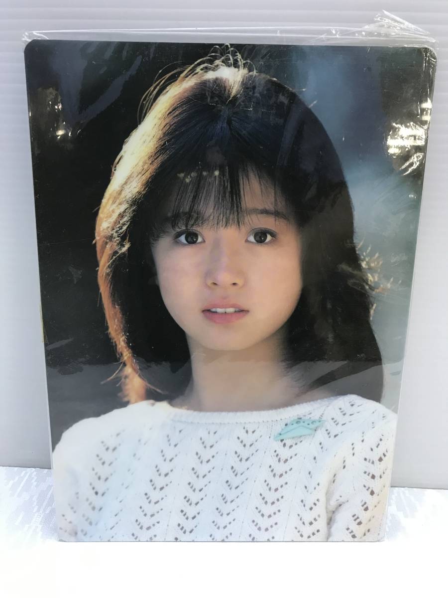 ☆未使用品☆中森明菜 下敷き 【Z857】 中森明菜 下敷き - 希少品