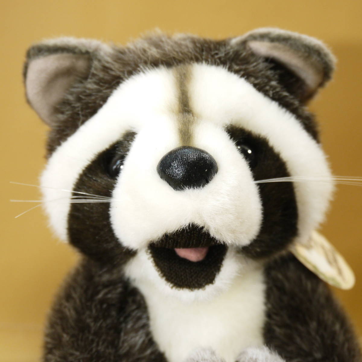 アライグマ ぬいぐるみ (ファースト社) WOODY CHAPMAN