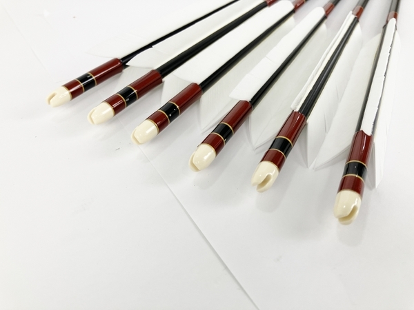 EASTON 2015 XX75 弓道 矢 6本セット 巻藁矢 矢筒付 101cm 中古 美品