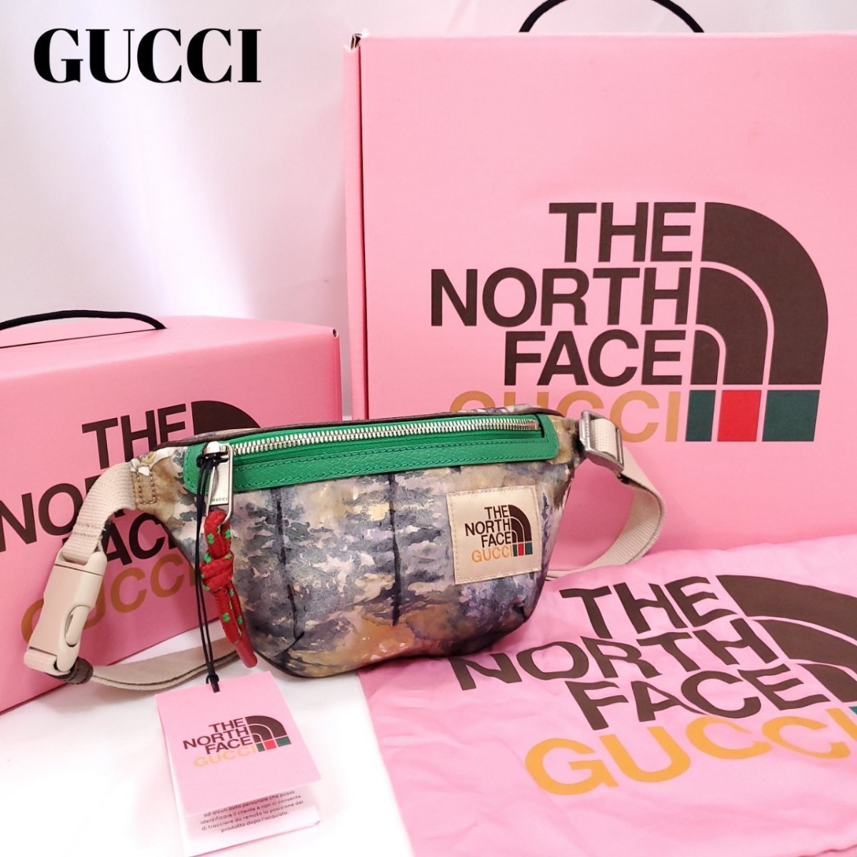 新品タグ付】GUCCI×THE NORTH FACE グッチ ノースフェイス フォレスト 
