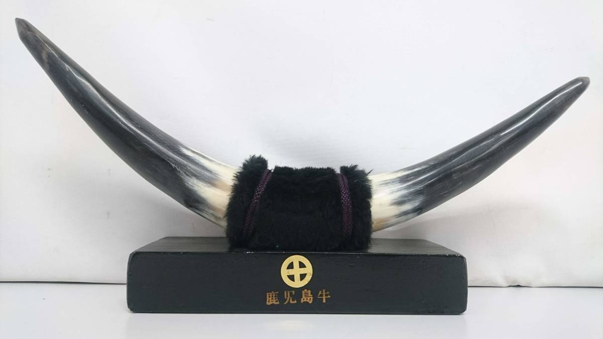 コレクション】鹿児島牛 角 置物/ツノ/角飾り/飾り物/置物/オブジェ  