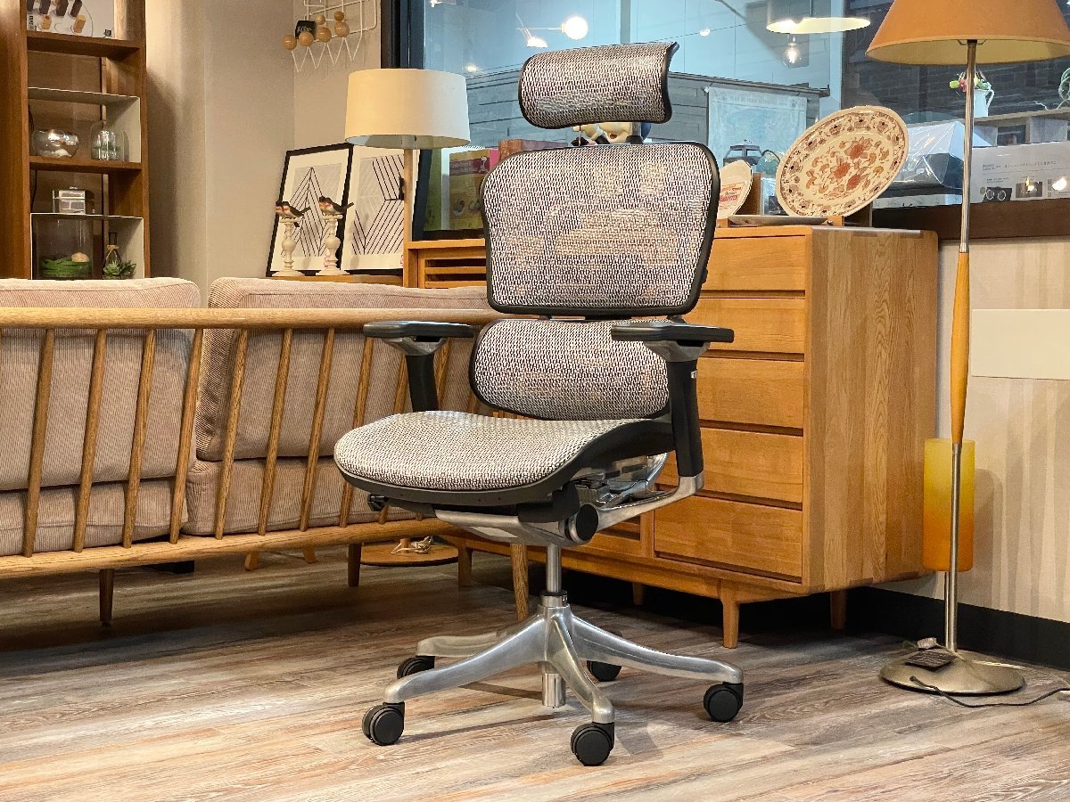 D-09041MDY3XY23 Ergohuman Pro エルゴヒューマン プロ オフィスチェア ヘッドレスト有り ブラックフレーム×ホワイトメッシュ