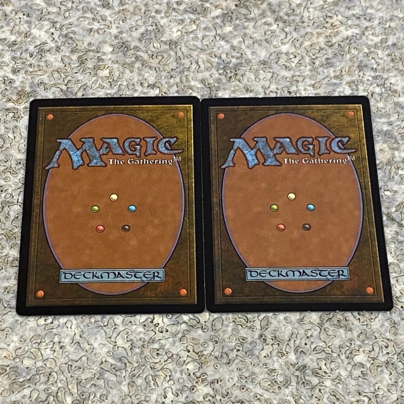 MTG ULG 日本語版 錯乱した隠遁者 Deranged Hermit 2枚セット レア